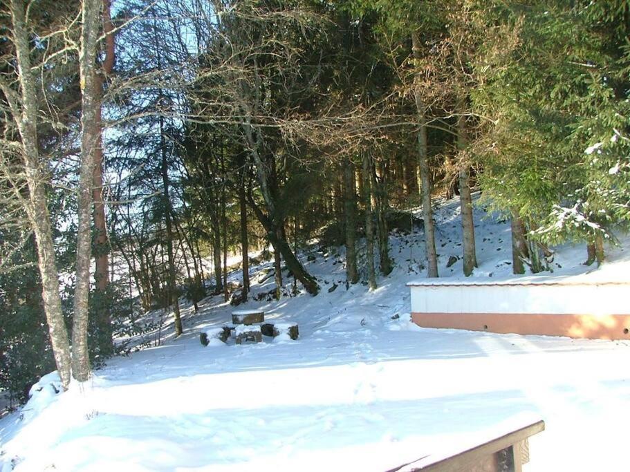 Maison D'Altitude Avec Vue Panoramique A Gérardmer Buitenkant foto