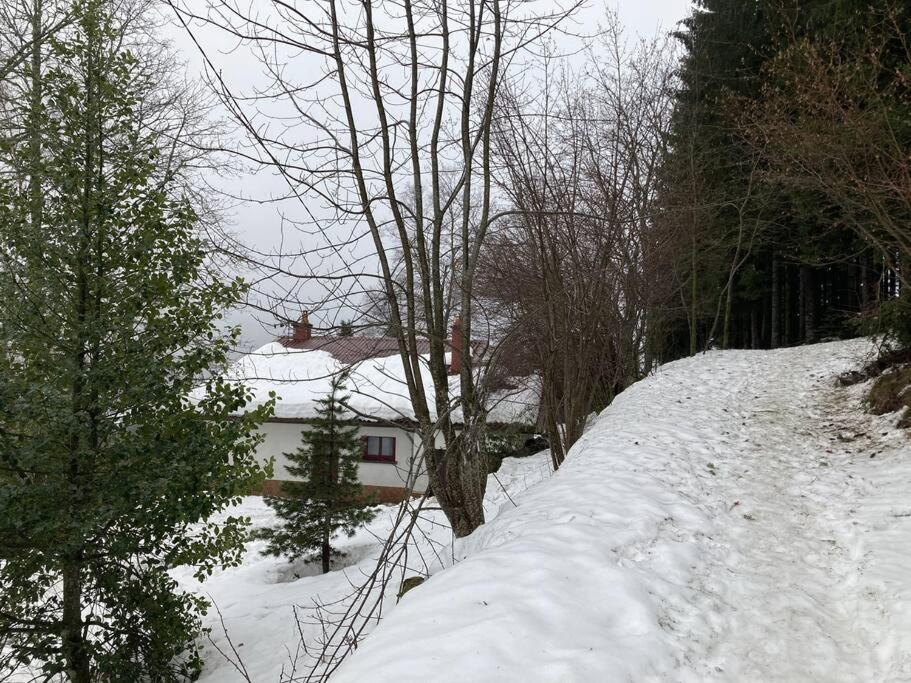 Maison D'Altitude Avec Vue Panoramique A Gérardmer Buitenkant foto