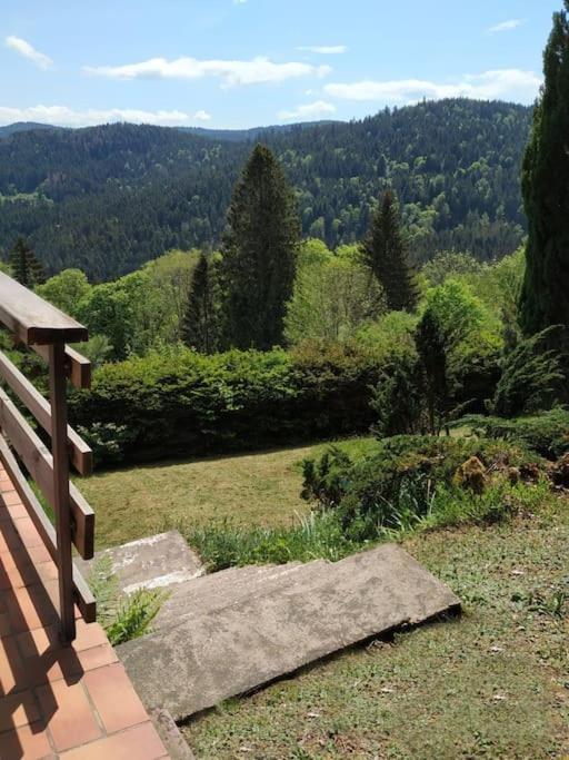 Maison D'Altitude Avec Vue Panoramique A Gérardmer Buitenkant foto